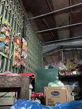 YANINA120 online show from 03-03-26, 09:48