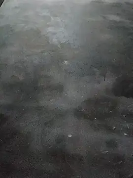 Sgs594802799 online show from 03-23-26, 08:24