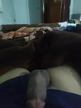 amirMohamed58 online show from 02-05-26, 10:14