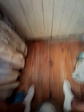 Franco10 - online show from 02-15-26, 09:11