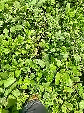 Cute Boy 4 online show from 04-09-26, 06:30