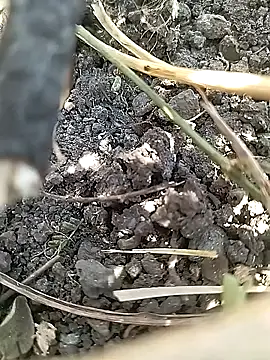 Cute Boy 4 online show from 04-21-26, 07:36