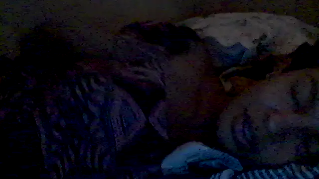 lorraine2036 online show from 02-17-26, 02:57