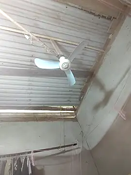 JordanX 01 online show from 04-03-26, 05:38