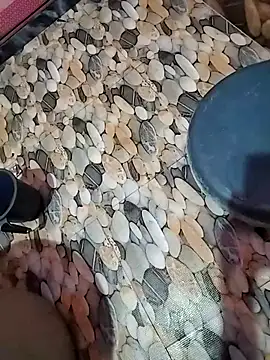 tamilpaiyan989 online show from 04-05-26, 02:53