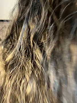 Denise wolfe21 online show from 02-19-26, 07:43