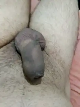 putopau15 online show from 04-02-26, 04:10