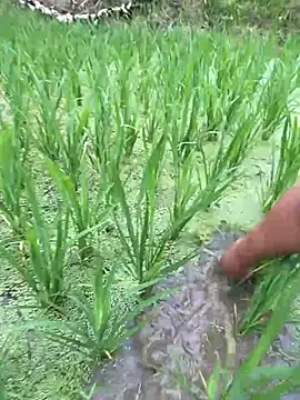 neyney110 online show from 04-20-26, 11:50