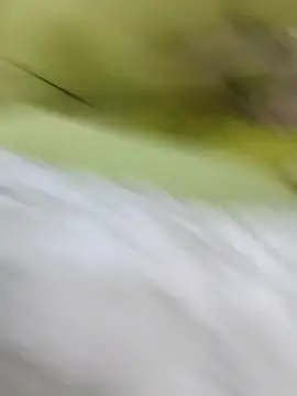 ONixCris online show from 02-20-26, 05:24