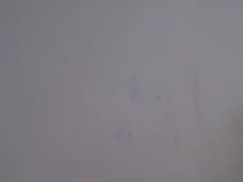 placerverdadero online show from 02-15-26, 05:48