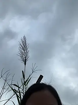 Caramel sexy online show from 02-07-26, 07:34