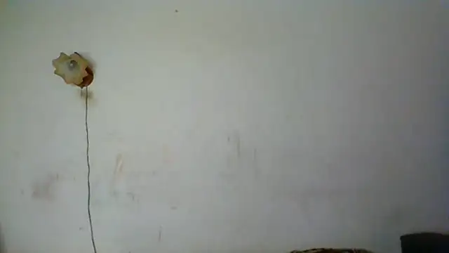 Snapshot of NickiKisinger chatting on 05-16-26, 06:21 NickiKisinger online show from 05-16-26, 06:21