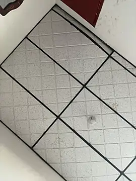 CarolineFyre online show from 04-22-26, 11:45