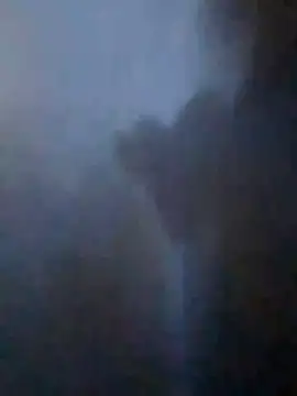 S7LEALTADPERVLIMA7 online show from 04-21-26, 11:07