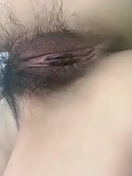 fadssa online show from 02-03-26, 06:40