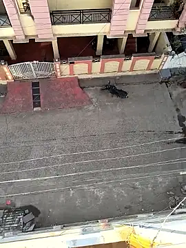 Castrol1289 online show from 02-11-26, 03:00