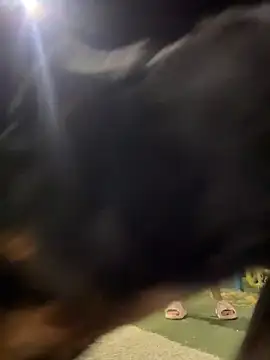 Arya    online show from 02-19-26, 05:47