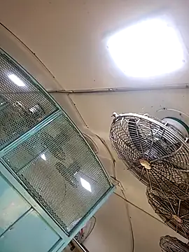 Talkwithsex online show from 02-04-26, 02:39