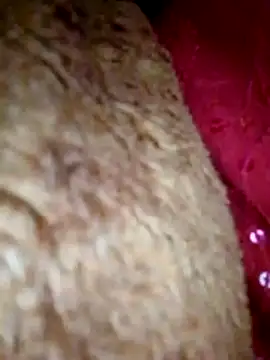 Talkwithsex online show from 04-01-26, 07:53