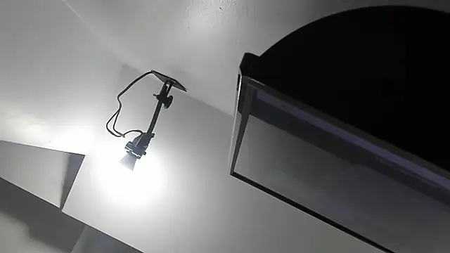 kate morgann online show from 04-01-26, 08:17