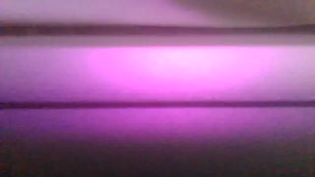 Snapshot of kaimsdecadus555 chatting on 02-12-26, 11:55 kaimsdecadus555 online show from 02-12-26, 11:55