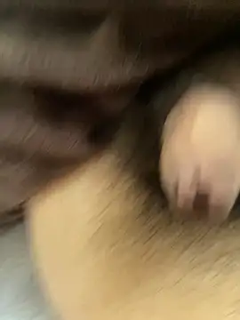 oyuto0831 online show from 04-03-26, 07:17