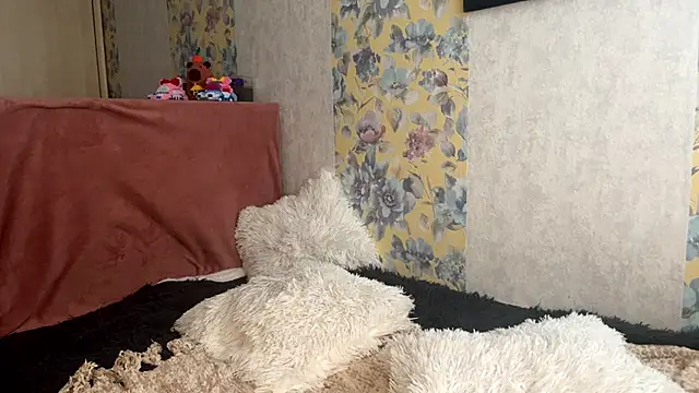 CassyVixen online show from 06-13-26, 04:27