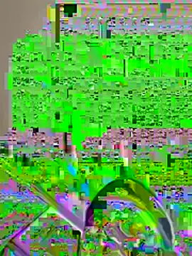 pussyeater - online show from 08-07-26, 06:37