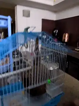 sexysilmy online show from 02-25-26, 08:35