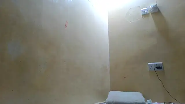 Cozybear online show from 07-27-26, 06:31
