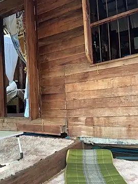 fairy bell online show from 03-05-26, 05:36