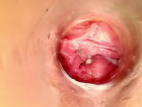 karol kane online show from 02-11-26, 03:17