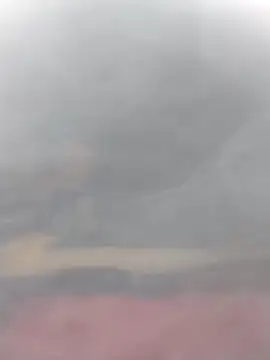 cobrosdepagos online show from 03-14-26, 03:06