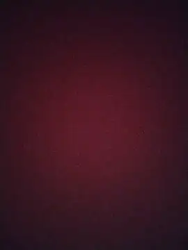 Regina 23 online show from 02-20-26, 12:07