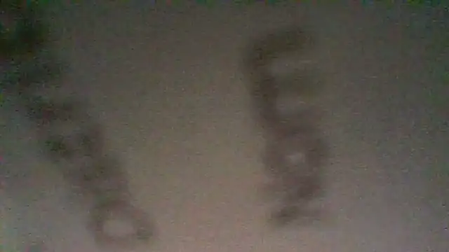 BonneQueueBonjour online show from 03-12-26, 04:35