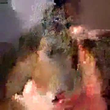 tubellaflor online show from 03-01-26, 10:23