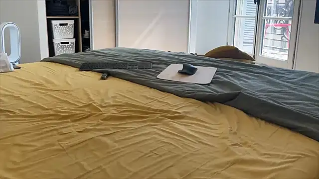 irohsako online show from 03-21-26, 11:37