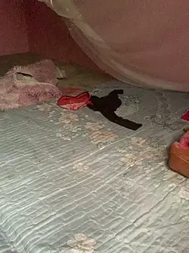 baeas-lan online show from 04-21-26, 02:04