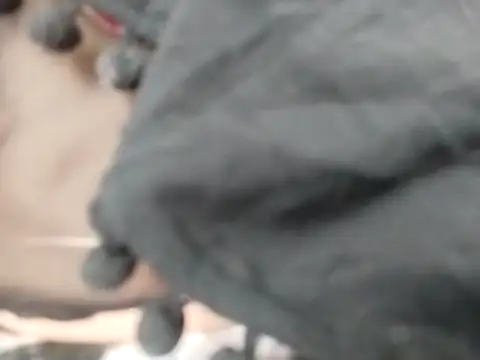 VeraVS online show from 02-20-26, 09:21