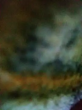 Avinh 09 online show from 02-15-26, 04:31