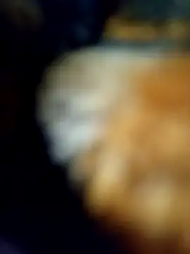 Avinh 09 online show from 02-15-26, 05:20