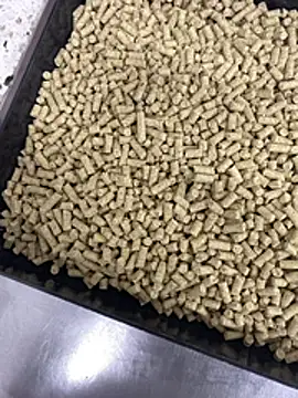 Elmanc online show from 02-26-26, 08:19