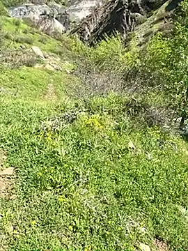 TurkeyMen online show from 04-29-26, 06:28