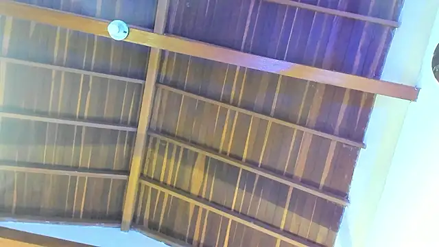 TonyPetrovjs online show from 02-26-26, 05:50