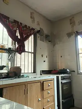 perritarebeldee online show from 04-22-26, 10:50