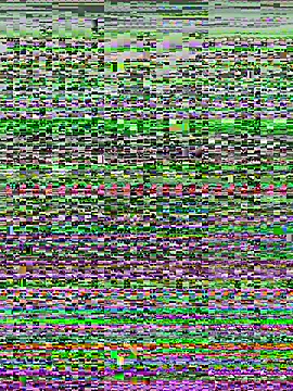 kana 0012 online show from 03-07-26, 12:51