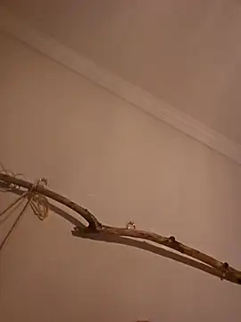 ProfessoraCasada online show from 07-29-26, 05:22