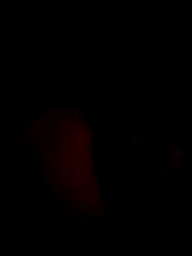 juanjonac online show from 05-18-26, 02:29