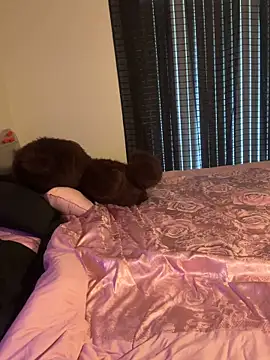 wavywavy12 online show from 04-19-26, 07:27