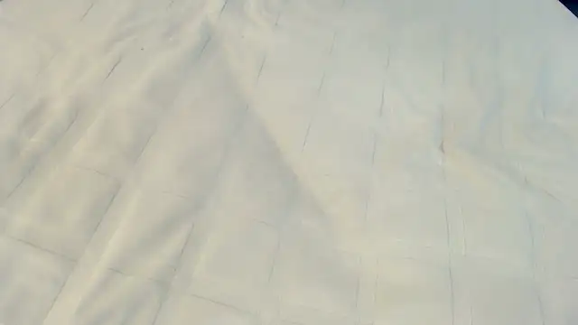 Ass Lovss online show from 05-23-26, 05:45